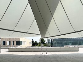 HUMANITAS university