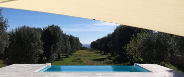 Manduria_trallivele_MA (2)