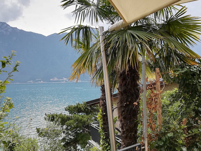 cadelanua_Trallivele_5