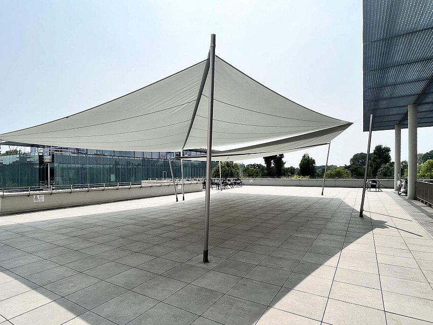 Humanitas_Trallivele (1)