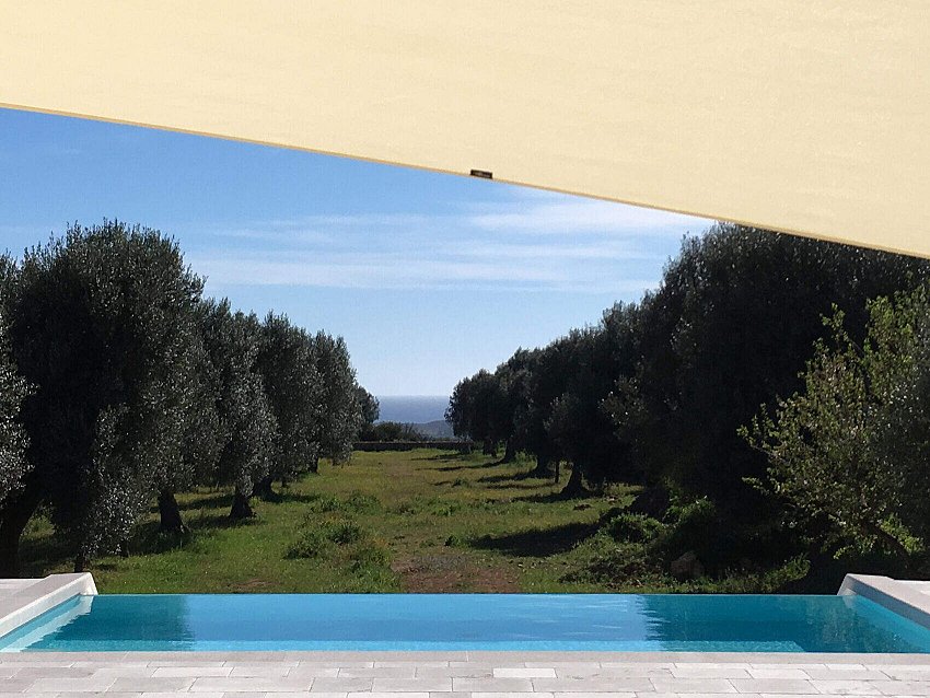 Manduria_trallivele_MA (2)