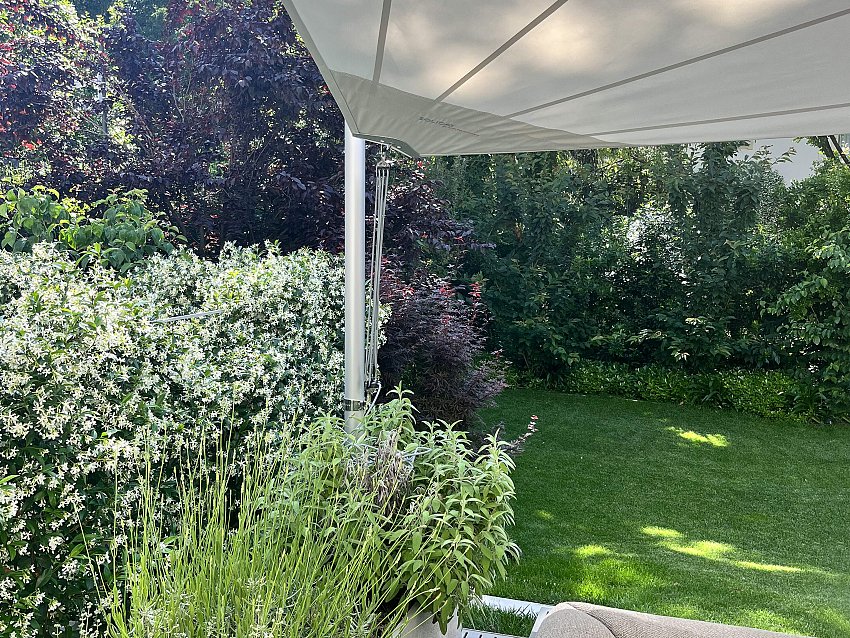 Milano_G_Trallivele (4)